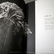 Book Review #3 本―TAKEO PAPER SHOW 2011